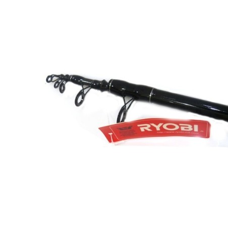 RYOBI FLASH BOAT 1.65 MT