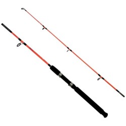 Kendo Holiday Boat 1.50m 100-250gr 2 Parça Olta Kamışı